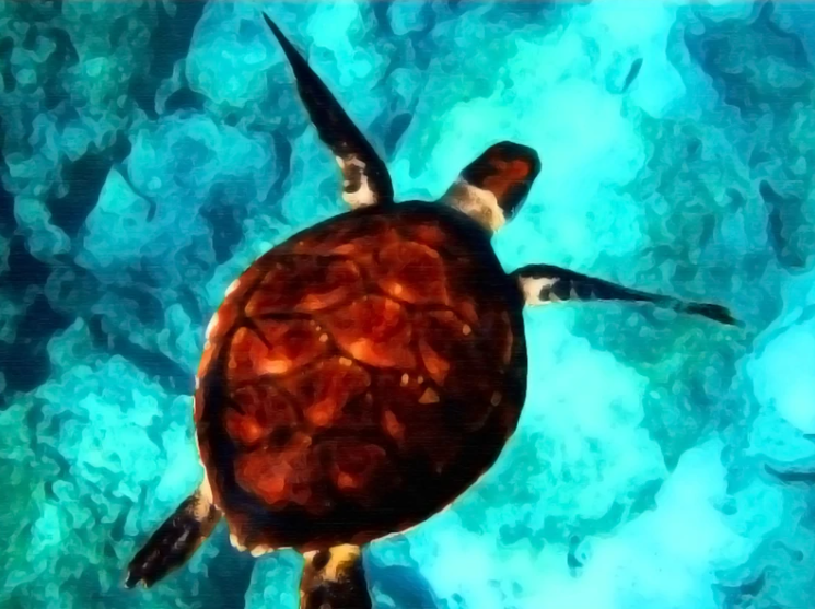 

Sea Turtle - 11CT Stamped Cross Stitch - 66*56CM, 501 Original