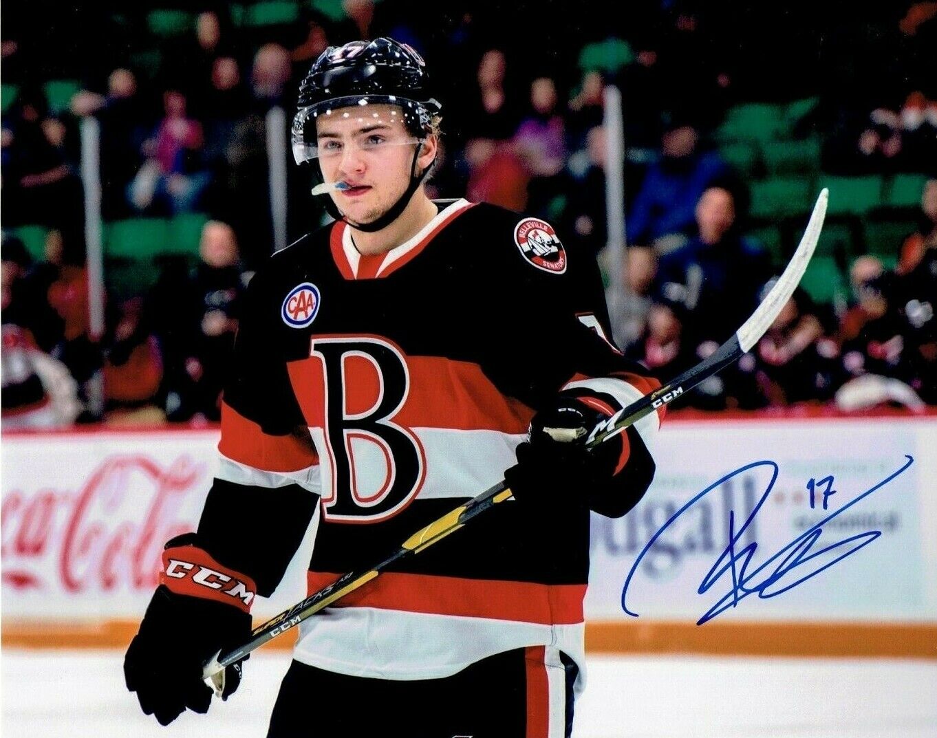 ERIK BRANNSTROM autographed SIGNED BELLEVILLE SENATORS 8x10 Photo Poster painting