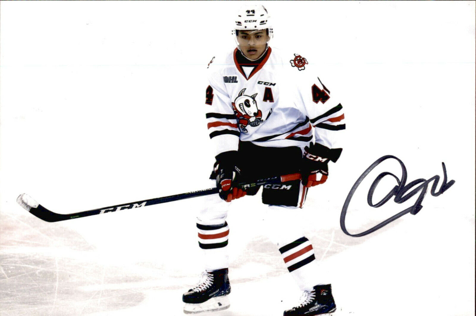 Akil Thomas SIGNED autographed 4x6 Photo Poster painting NIAGARA ICE DGS / LOS ANGELES KINGS #2