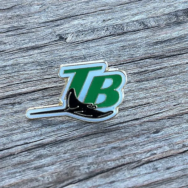 Foto del pin Fun Team Shield