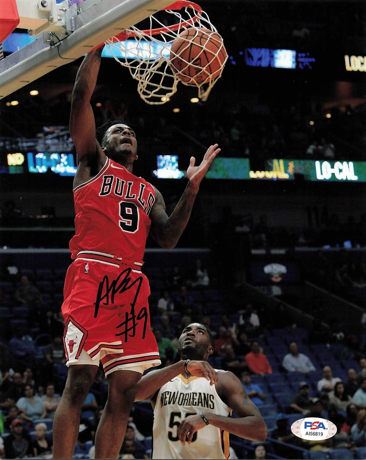 ANTONIO BLAKENEY signed 8x10 Photo Poster painting PSA/DNA Chicago Bulls Autographed