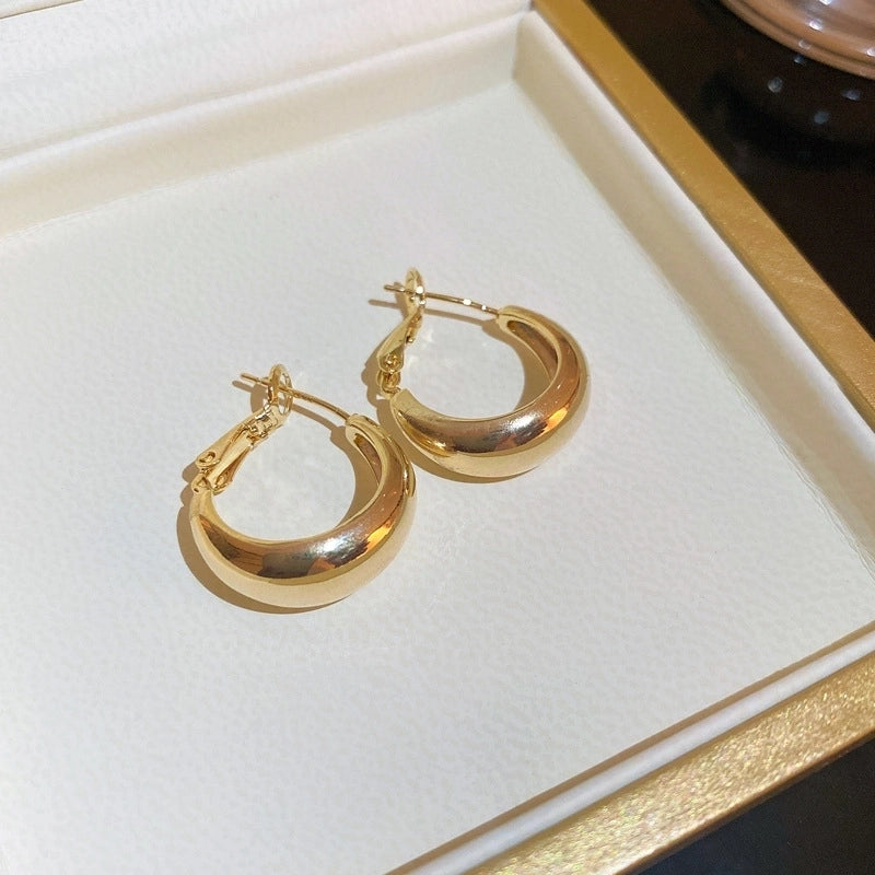 Silver Needle  Exaggerated Lovely Earrings Light Luxury High-grade Niche Earrings Fashion Metal Temperament Earrings For Women