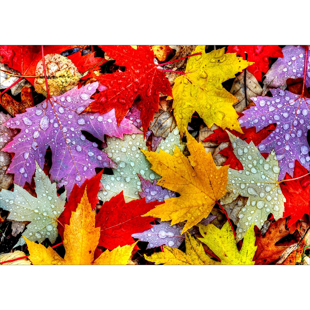 

40*30CM - Round Drill Diamond Painting - Maple Leaves, 501 Original