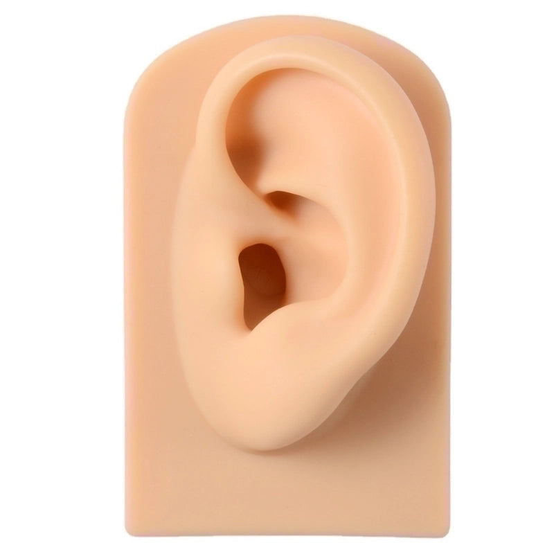 2 Pieces Fashion Rectangle Arylic Silica Gel Simulation Ear Model