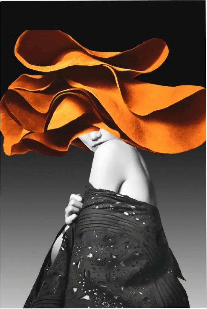 Orange Hat Aesthetic Room Decoration Fashionable Girl Canvas Wall Art Mural Wallpapers Home Decor Interior Decorative Painting