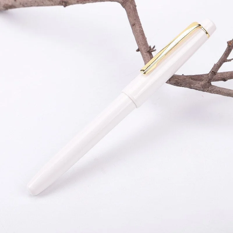 Gold Clip Transparent Fountain Pen Plastic 0.38mm 0.5mm Colored Ink Pens Stationery for Student Smooth Writing School Supplies