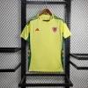 2024 Wales Away Football Shirt 1:1 Thai Quality
