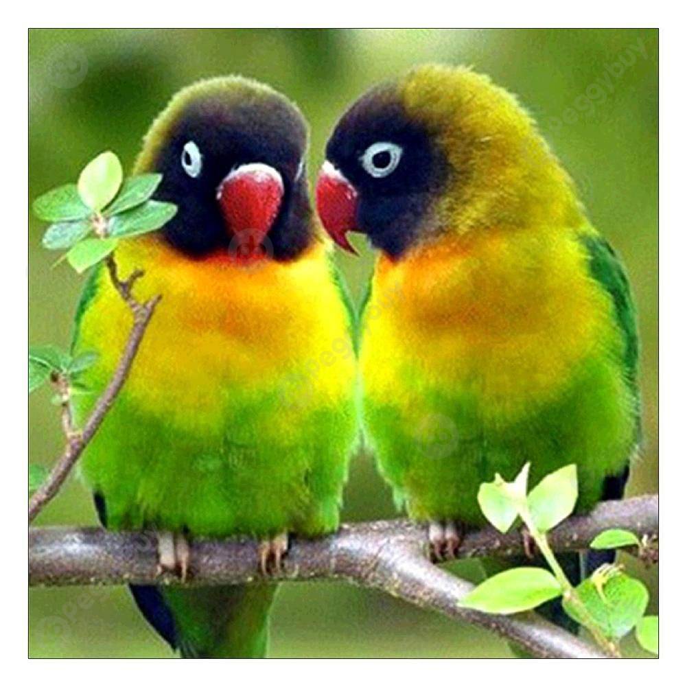 

25*25CM Special Shaped Diamond Painting-Parrot, 501 Original