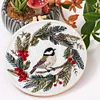 Christmas Bird-Embroidery Kit