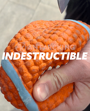 Chewball - Immortal Toy For Aggressive Chewers