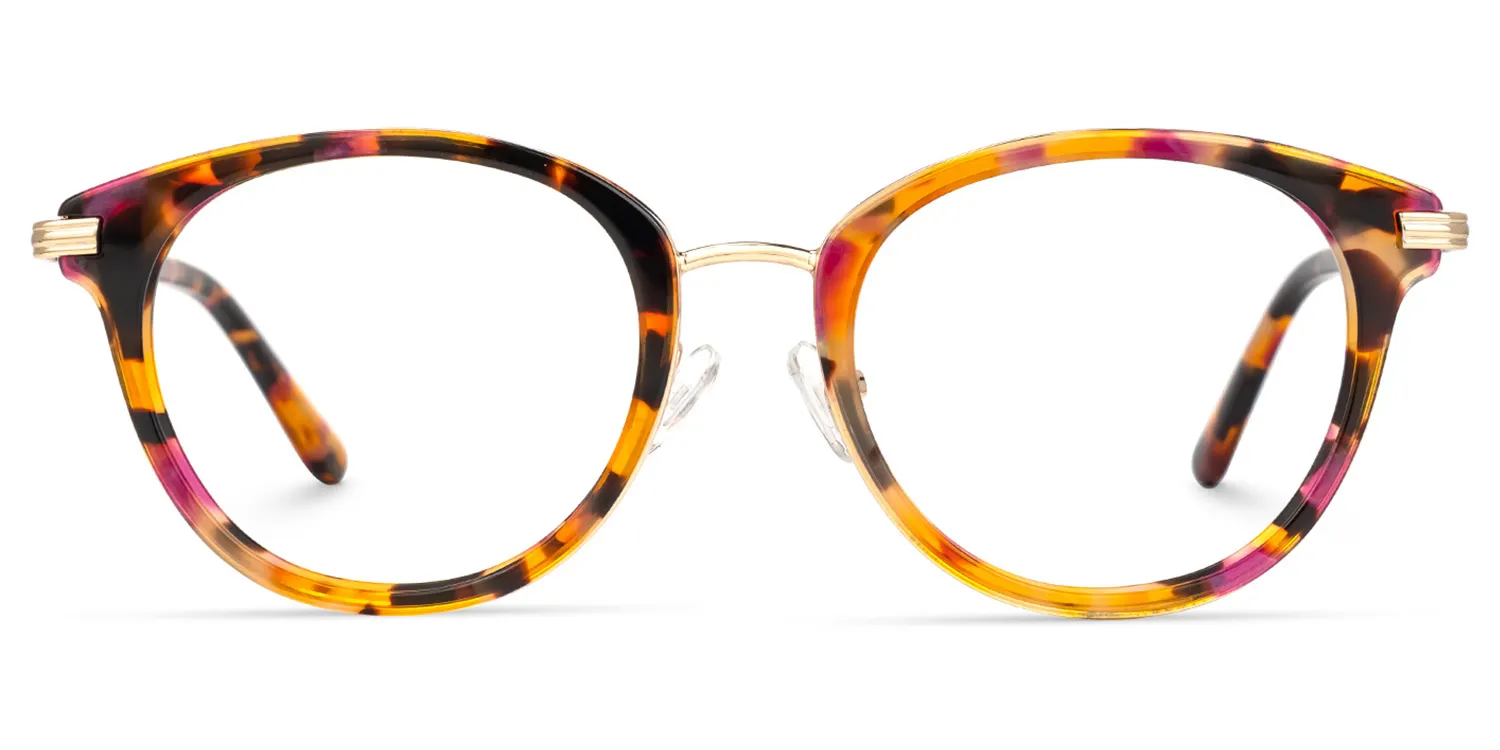 Raleigh Bunt-Tortoise Rund Brille Bunt-Tortoise