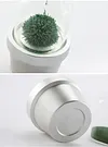 Magnetic Hourglass Creative Potted Desktop Ornaments