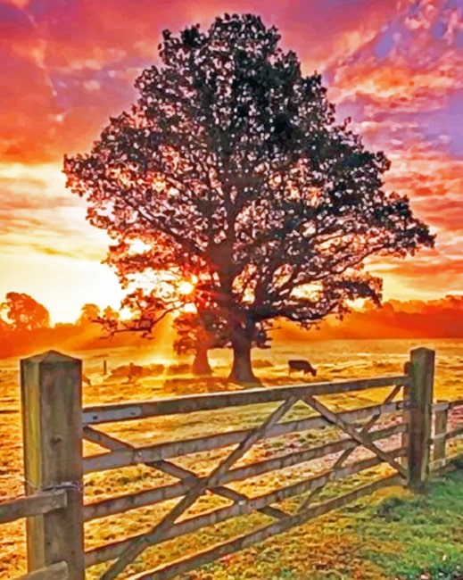 

Country Sunset – Paint By Numbers - 40*50CM, 501 Original