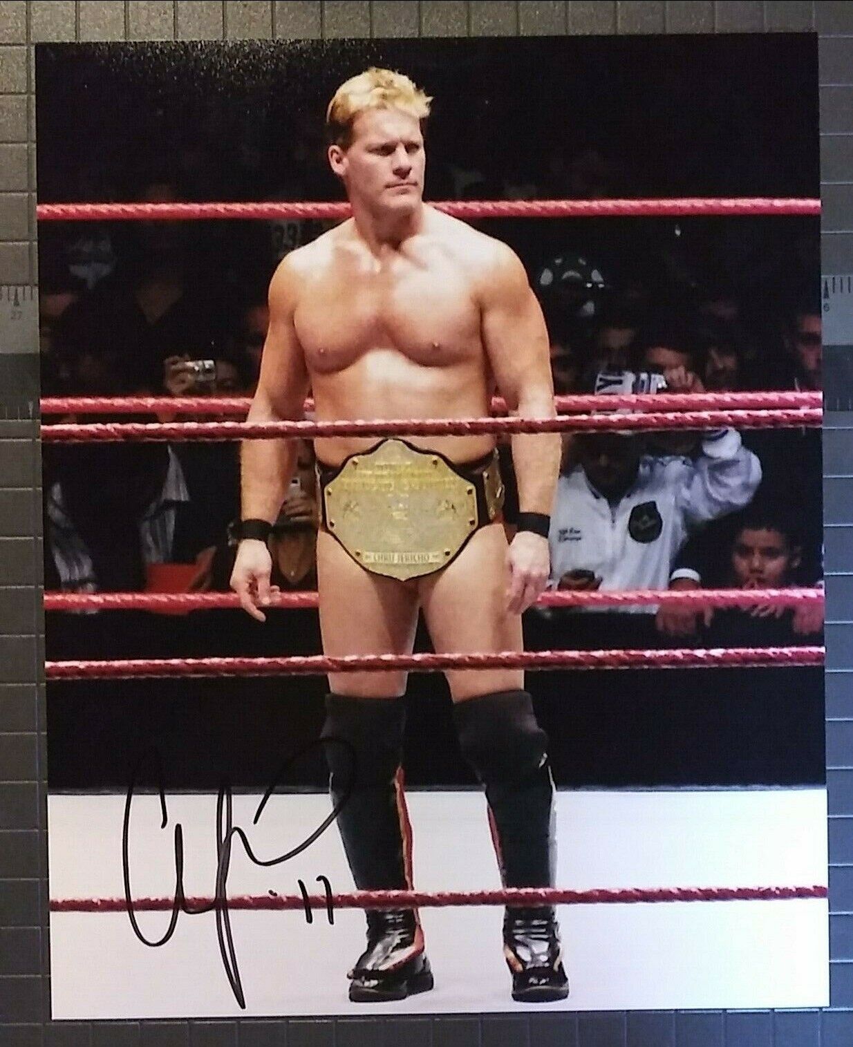 Chris Jericho signed 8x10