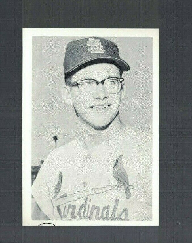 Ray Sadecki St. Louis Cardinals Team Issue Vintage 3x5 Photo Poster painting RH