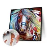 uk.everydayedeals (Limited Stock)Paint By Number - Oil Painting -  Horse (40*40Cm)