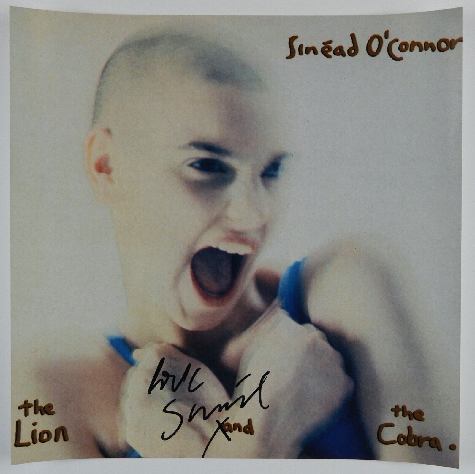 Sinead O'Connor JSA Autograph Signed Photo Poster painting 12 x 12 The Lion And The Cobra