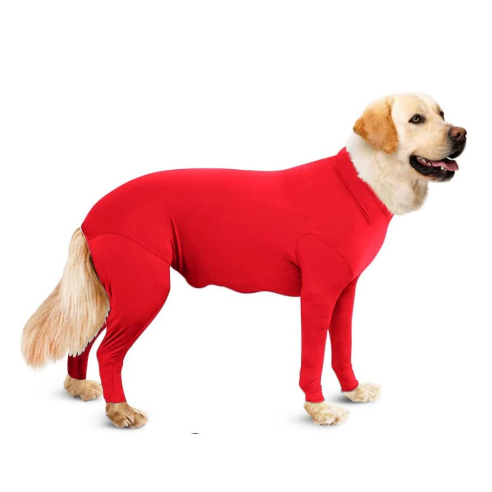 Recovery Dog Suit