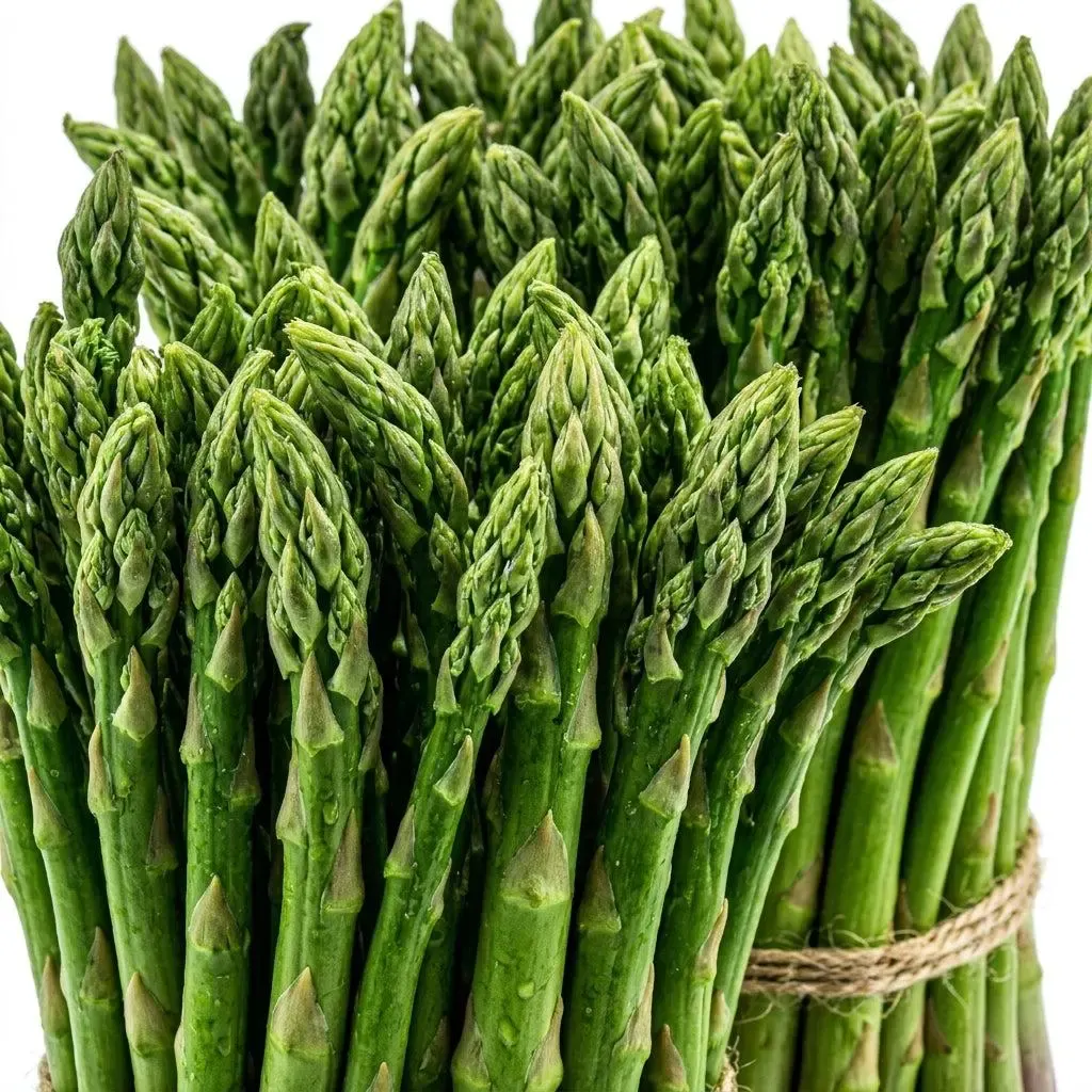 Asparagus Seeds - Perennial Heirloom Vegetable Seeds - Grow Tender, Delicious Asparagus Spears Year After Year