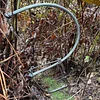 Stainless Steel Wire Elastic Wild Animal Trap Imported from Germany 