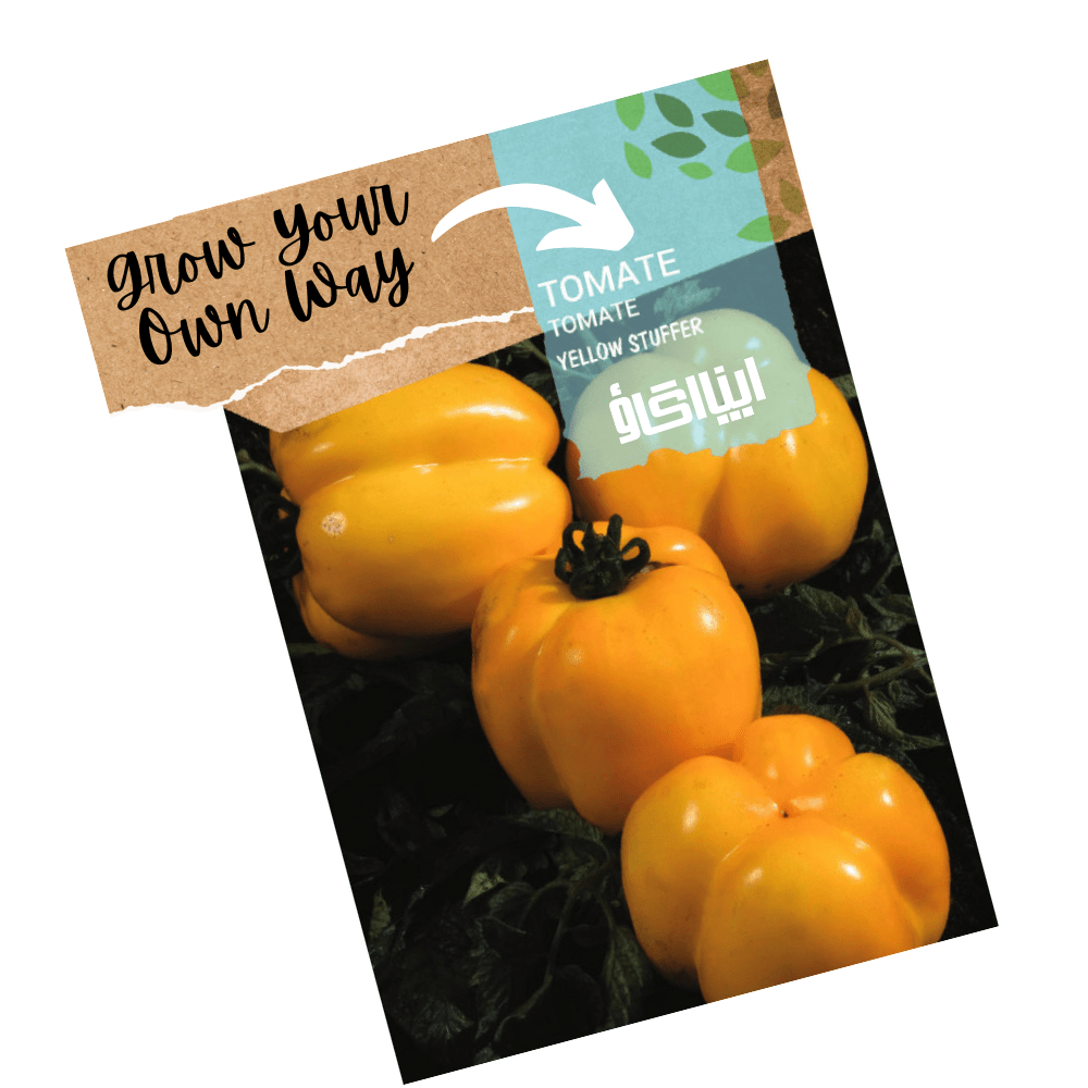 Heirloom Tomato Seeds - Yellow stuffer