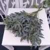 5 Stems Artificial Greenery Eucalyptus Leaves Bunch