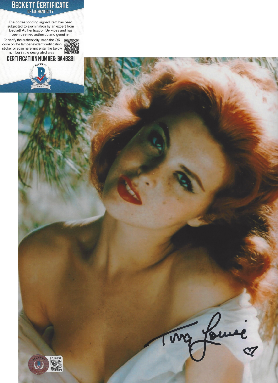 TINA LOUISE SIGNED 'GILLIGAN'S ISLAND' 8x10 Photo Poster painting 6 SEXY ACTRESS BECKETT COA BAS