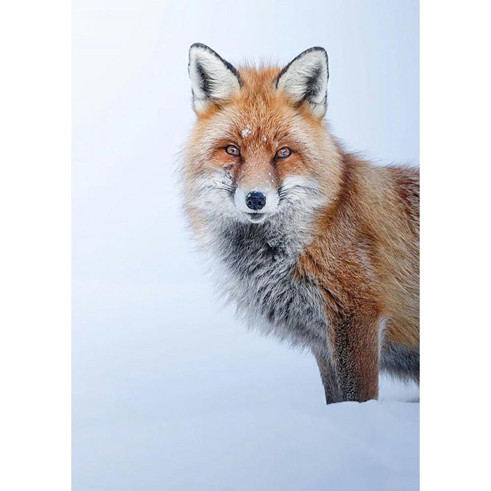 

Fox-Round Drill Diamond Painting-30*40CM, 501 Original