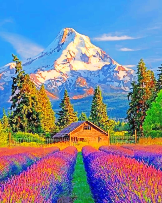 

Colorful Fields And Mountains – Paint By Numbers - 40*50CM, 501 Original