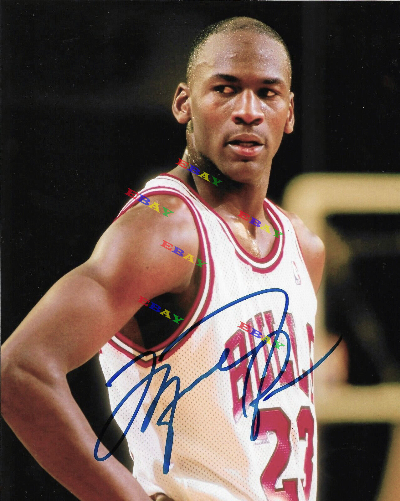 MICHAEL JORDAN CHICAGO BULLS Signed Autographed 8x10 Photo Poster painting Reprint