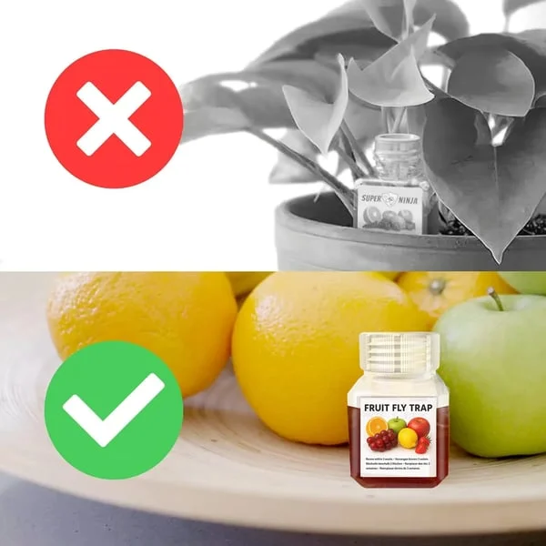 Ultra-Strong Fruit Fly Trap