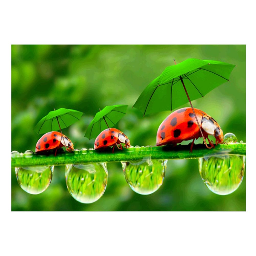 Green Leaf Ladybug - Partial Drill - Diamond Painting(40*30cm)