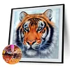 Diamond Painting -DIY Full Square Drill Tiger