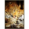Leopard | Full Round Diamond Painting Kits