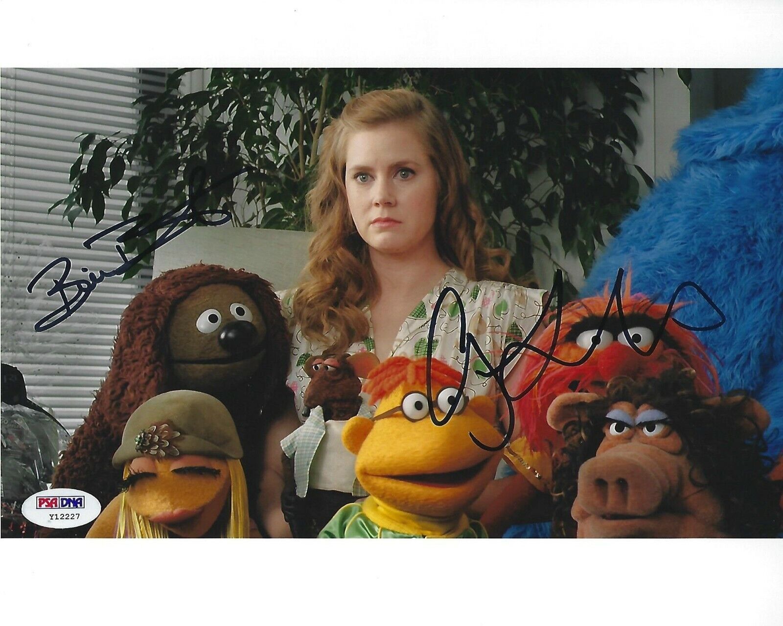 Amy Adams Bill Barretta Signed 8x10 Photo Poster painting PSA/DNA The Muppets Picture Autograph