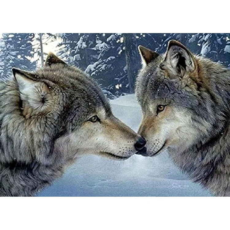 Kissing Wolves  Full Round Diamond Painting 40*30CM