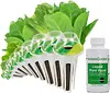 Heirloom Salad Vegetables Greens Mix Seed Pod Kit