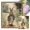Rabbit Full Stamped Cross Stitch 11CT 3-Strand 40x50cm