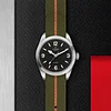 Tudor Ranger