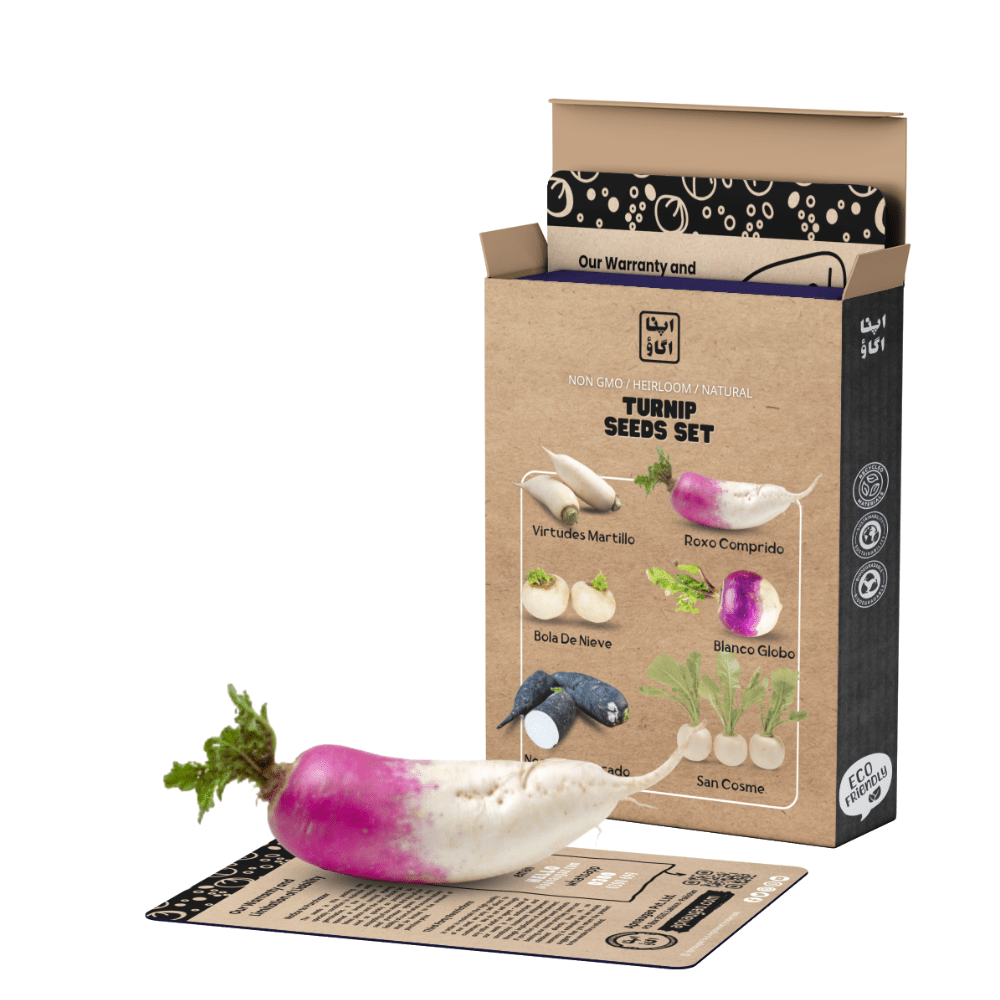 Heirloom Turnip Seeds Set