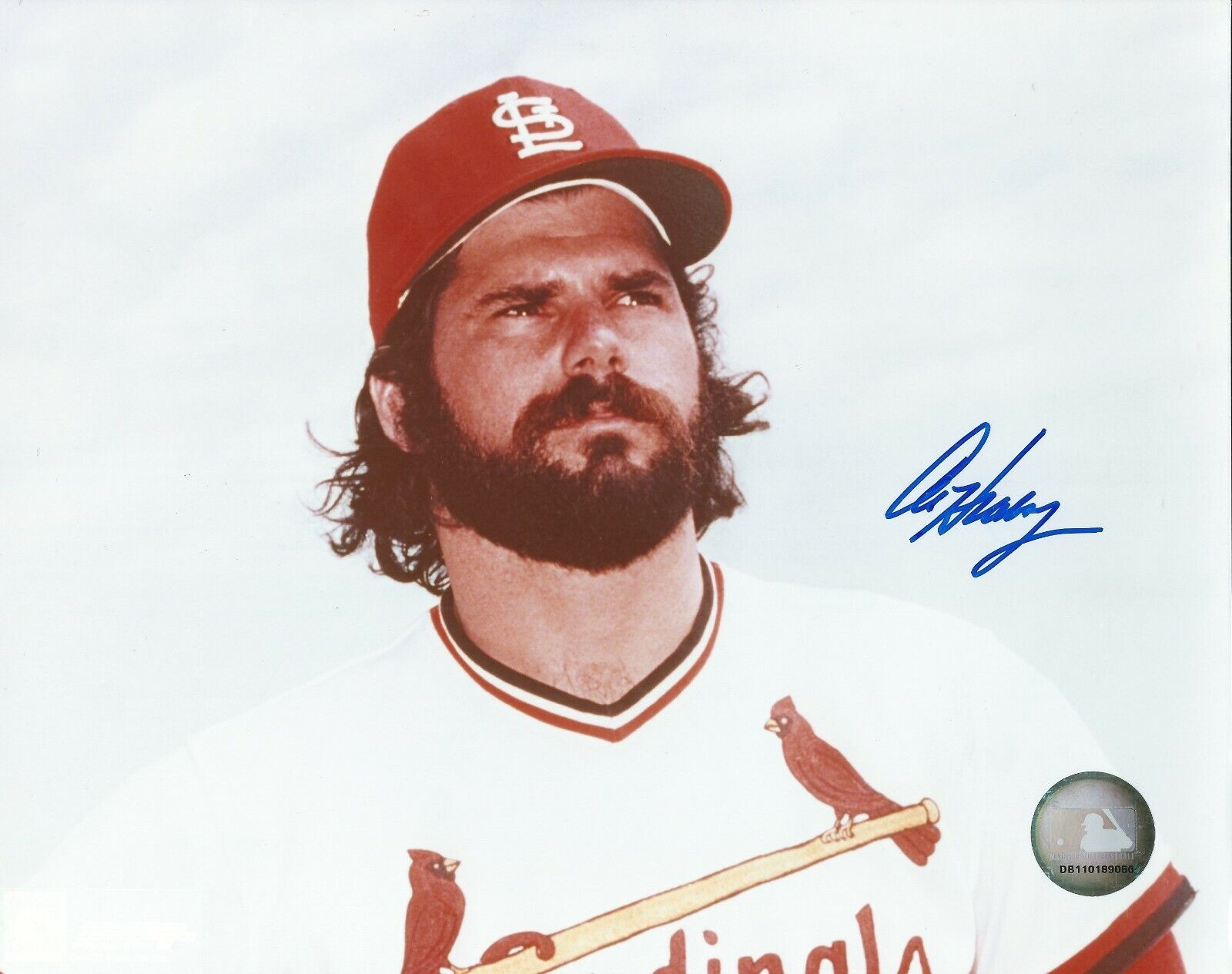 Signed 8x10 AL HRABOSKY St. Louis Cardinals Autographed Photo Poster painting - w/COA