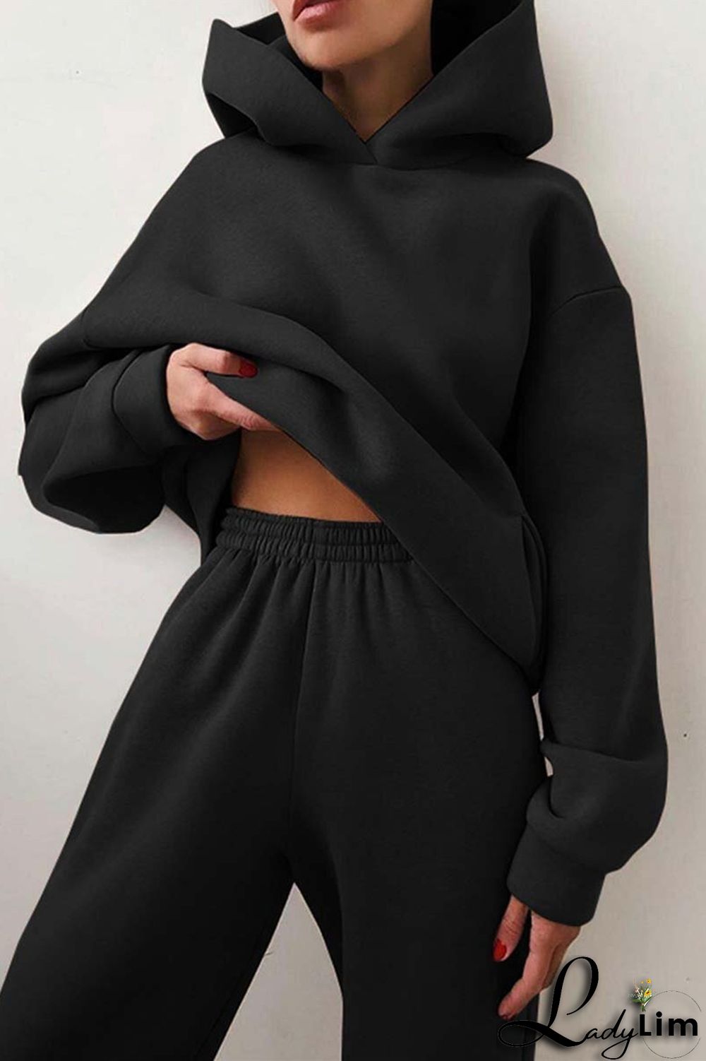 Purple Fashion Casual Solid Basic Hooded Collar Long Sleeve Two Pieces