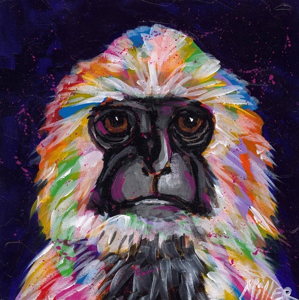 

Baboon Monkey – Paint By Numbers - 40*50CM, 501 Original