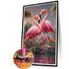 Flamingo-Full Round Diamond Painting 40*60cm