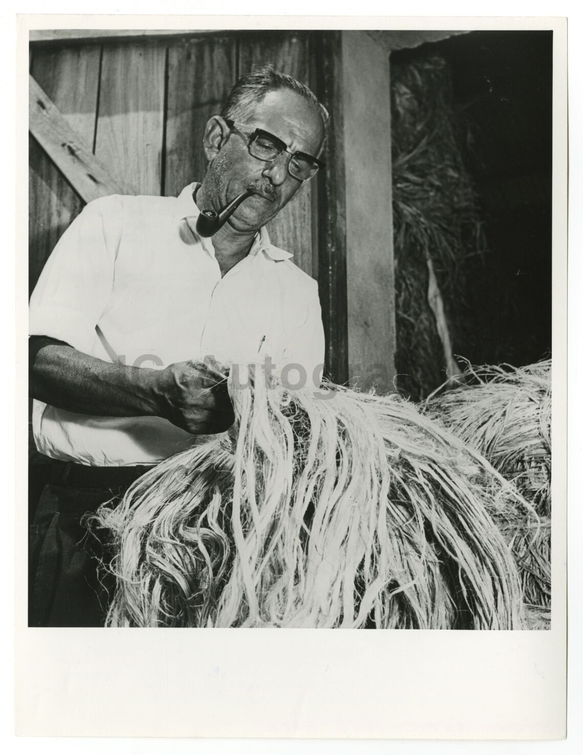 Republic of the Sudan - Kenaf Fibre - Vintage 8x10 Fiber Photo Poster paintinggraph - 1963