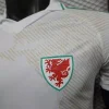 2026 World Cup Player Version Wales Soccer Jersey Away