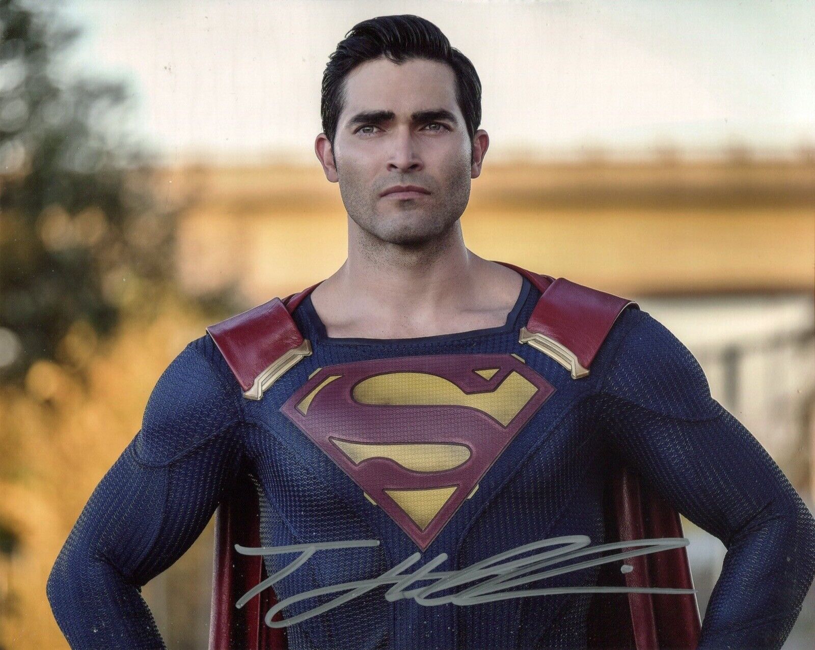 Superman 8x10 Photo Poster painting signed by actor Tyler Hoechlin