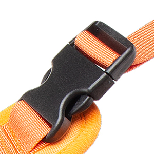 dog harness and leash
