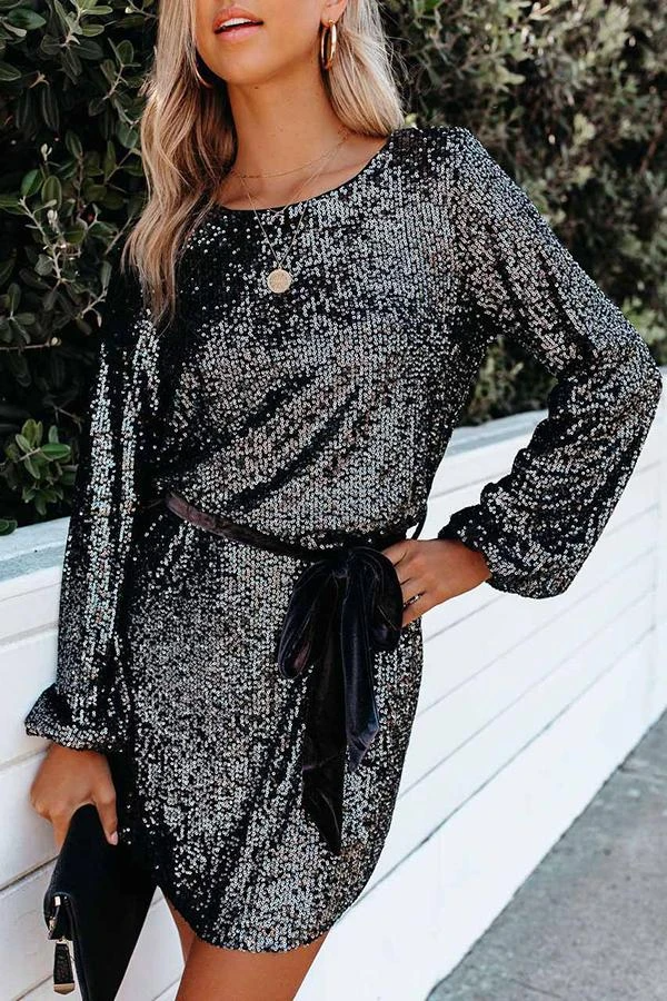 Sparkly Sequined Slim Fit Mini Dress