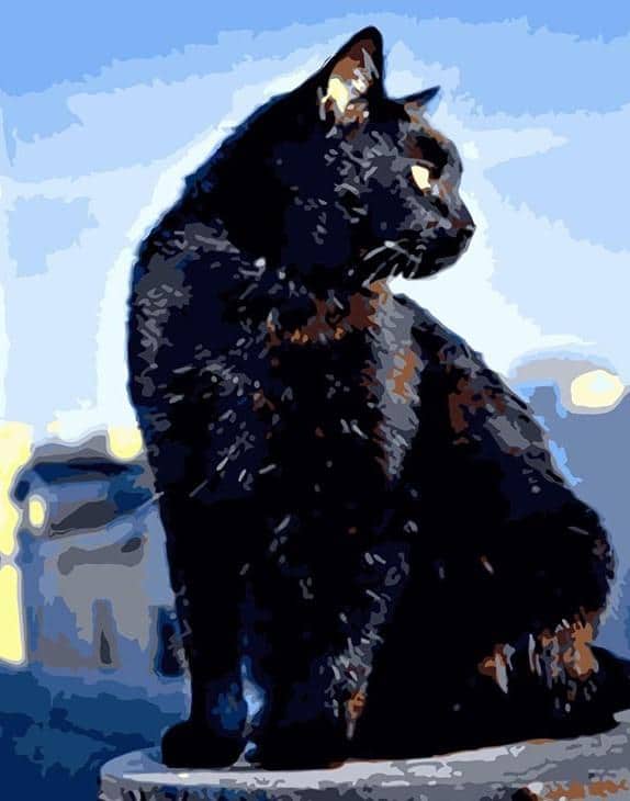 

Black Bombay Cat – Paint By Numbers - 40*50CM, 501 Original